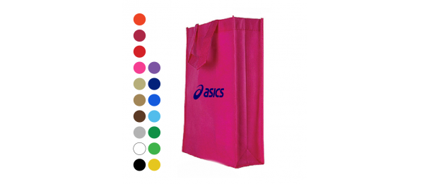 100g Non Woven Bag 