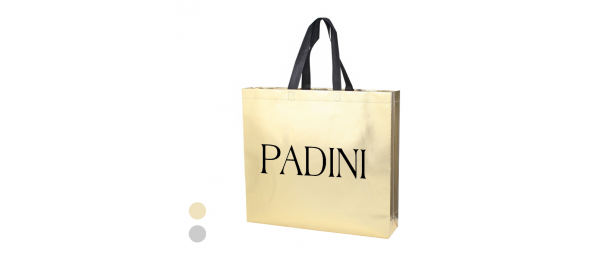 Laminated Non Woven Bag