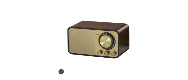 Wooden Speaker