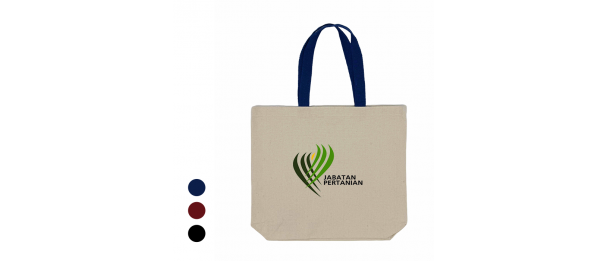 Canvas Bag - (40×35×10cm)