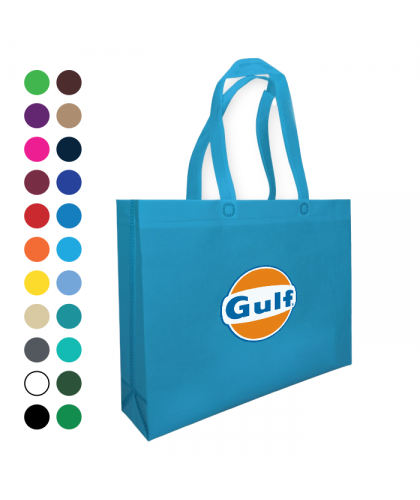 Non Woven Bag (42x32x10cm)