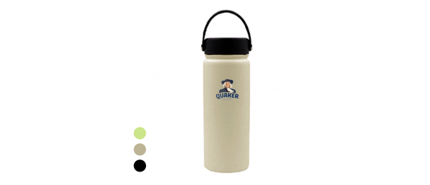 YOUNG Double Wall Stainless Steel Flask with Handle - 600ml