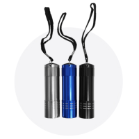Mini Torchlight