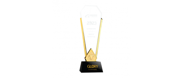 Exclusive Metal Crystal Award