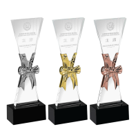 Exclusive Metal Crystal Award