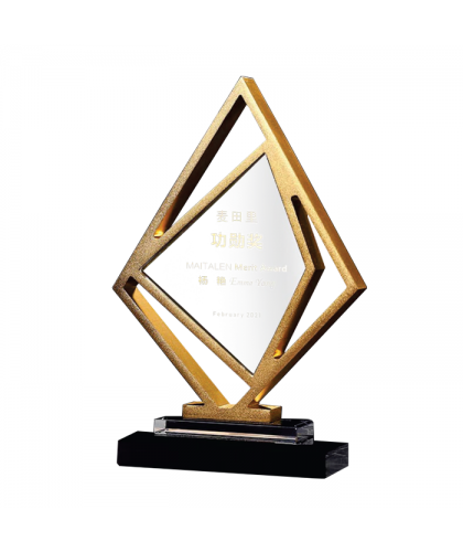 Exclusive Metal Crystal Award