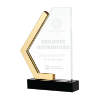 Exclusive Metal Crystal Award