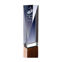 Exclusive Crystal Wooden Award