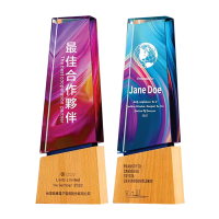 Exclusive Crystal Wooden Award