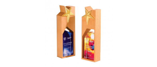 Exclusive Crystal Wooden Award