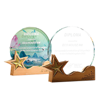 Exclusive Crystal Wooden Award