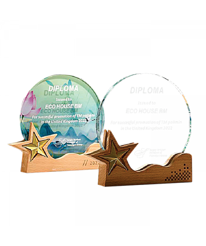 Exclusive Crystal Wooden Award