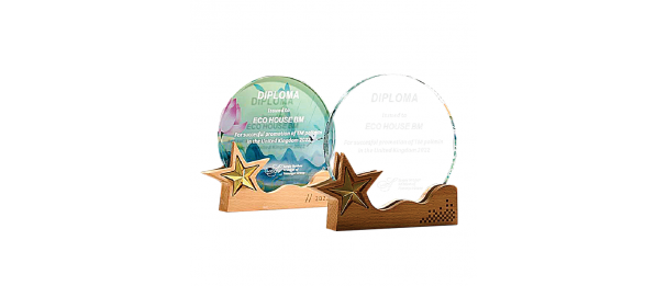 Exclusive Crystal Wooden Award