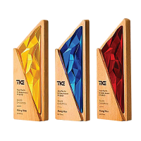 Exclusive Crystal Wooden Award