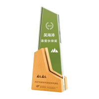 Exclusive Crystal Wooden Award