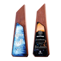 Exclusive Crystal Wooden Award