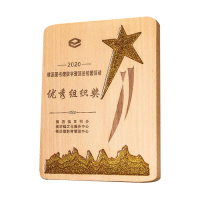 Exclusive Crystal Wooden Award