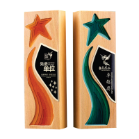 Exclusive Crystal Wooden Award