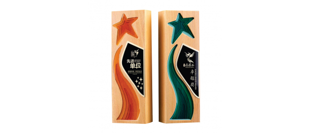 Exclusive Crystal Wooden Award