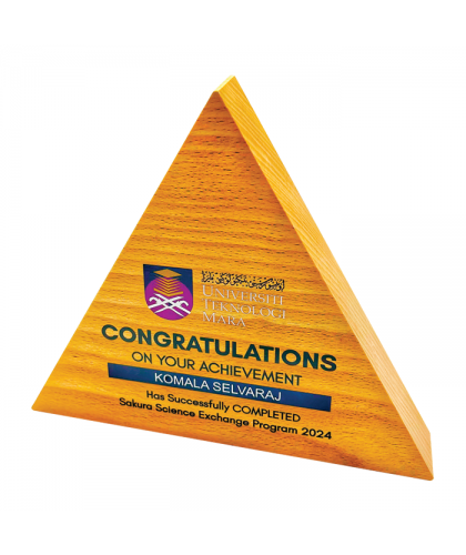 Exclusive Crystal Wooden Award