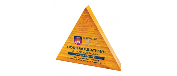 Exclusive Crystal Wooden Award