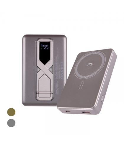 Fast Charging Power Bank