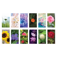 Flower - 2025 Calendar