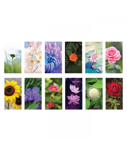 Flower - 2025 Calendar