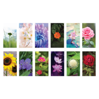 Flower - 2027 Calendar