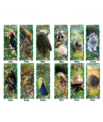 Wildlife Calendar