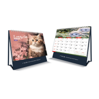 Lovely Cat Calendar