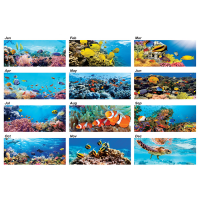 Colorful of Oceanworld 