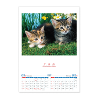 Calendar - Lovely Cat