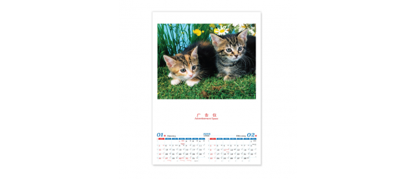 Calendar - Lovely Cat