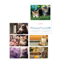 Calendar - Lovely Cat