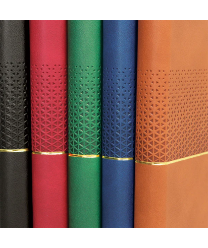 Goldfusion Diary Notebook