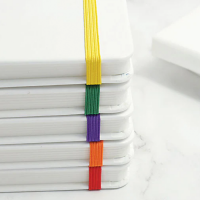 Colourlastic White Notebook