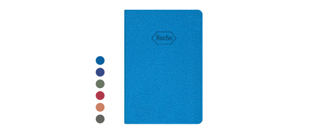 Stardust Notebook