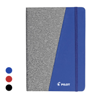INSPIRE Notebook 