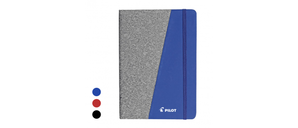INSPIRE Notebook 