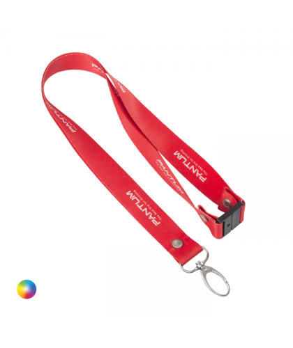 Lanyard + Oval Hook + Safety Clip