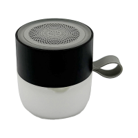 Wireless Speaker