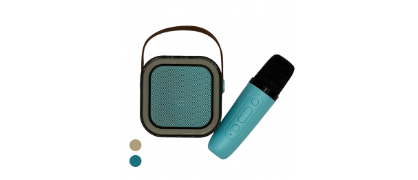 Mini USB Speaker and Wireless Microphone